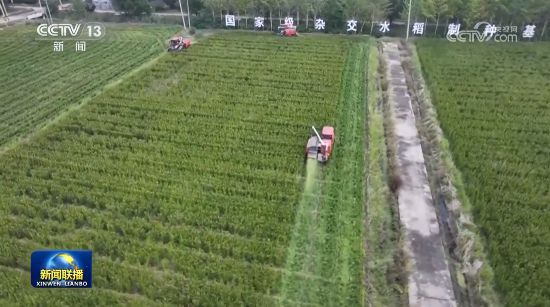 我国种业振兴行动取得一批标志性成果